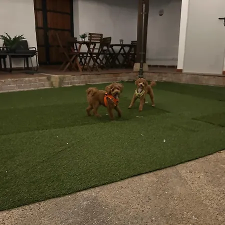 La De Leo Y Lola Villa *