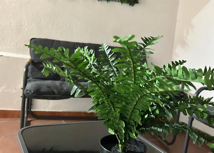 La De Leo Y Lola ヴィラ *