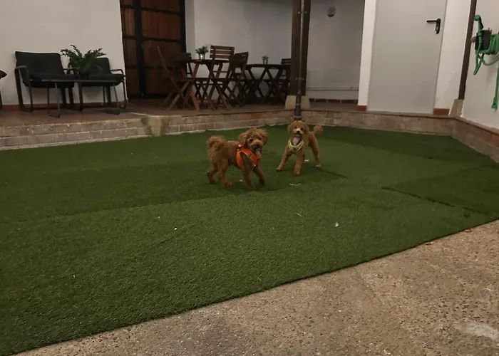 La De Leo Y Lola ヴィラ *